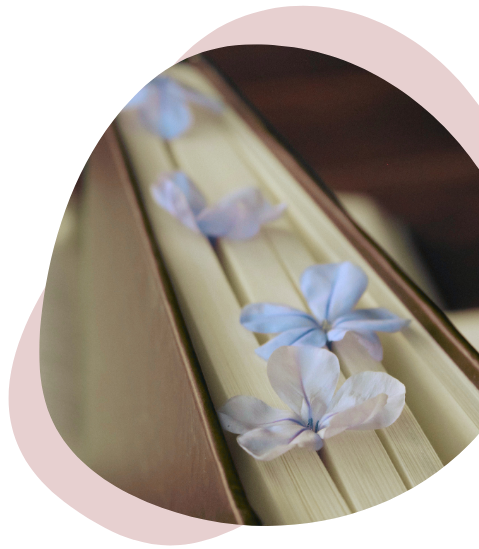Fleurs bleues posées sur les pages d'un livre